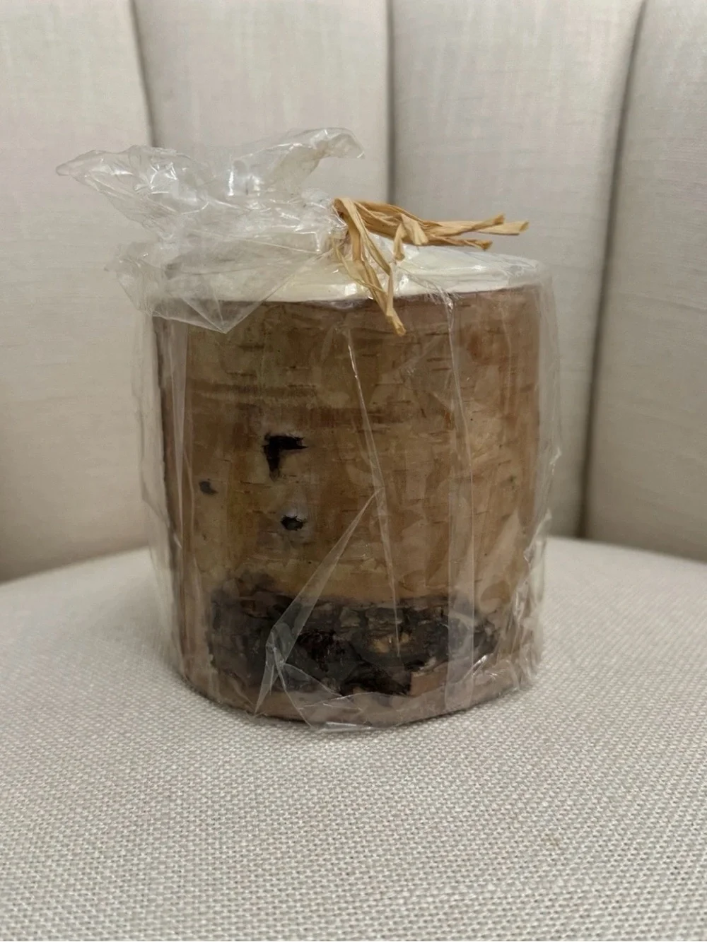 NWT Pottery Barn Birch Bark Pillar Candle 4